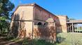 Toscana Immobiliare - The roofs of the farmhouse have been reconstructed and insulated