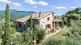 Toscana Immobiliare - Farmhouse with panoramic pool for sale in Seggiano, province of Grosseto, Tuscany