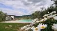 Toscana Immobiliare - Bauernhaus mit Panoramapool zu verkaufen in Seggiano, Provinz Grosseto, Toskana