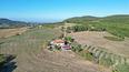 Toscana Immobiliare - Farm for sale in Montepulciano Siena Tuscany