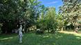 Toscana Immobiliare - 18th-century villa for sale in Foiano della Chiana