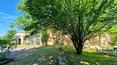 Toscana Immobiliare -  Finca histórica con 17 ha de terreno en venta en la provincia de Arezzo, Toscana