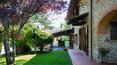 Toscana Immobiliare - The stone house is equipped with porches, from which you can access the barbecue and the wood-burning oven