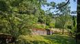Toscana Immobiliare - Le bâtiment principal se trouve au milieu d'un parc d'environ 1,5 hectare