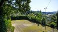 Toscana Immobiliare - La proprietà è completata da un campo da calcetto e tennis in erba sintetica