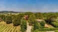 Toscana Immobiliare - Villa mit Weinberg zu verkaufen in Montepulciano Toskana