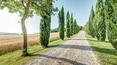 Toscana Immobiliare - Azienda agricola immersa nella campagna toscana in vendita a Foiano della Chiana, in Valdichiana