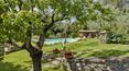 Toscana Immobiliare -