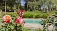 Toscana Immobiliare -