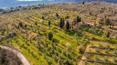 Toscana Immobiliare - Proprietà immersa nel verde in vendita in posizione panoramica a Civitella in Val di Chiana, in Toscana