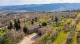 Toscana Immobiliare - Property surrounded by greenery for sale in a panoramic position in Civitella in Val di Chiana, Tuscany