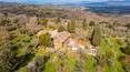 Toscana Immobiliare - La proprietà è circondata da circa 19 ettari di terreno con oliveto, bosco e seminativo