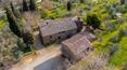 Toscana Immobiliare - The property is surrounded by approximately 19 hectares of land with olive groves, woodland and arable land