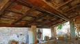 Toscana Immobiliare - Im Inneren des Bauernhauses sind die Holzbalkendecken und die ursprünglichen Terrakottaböden erhalten