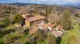 Toscana Immobiliare - The outbuildings, in good condition, are used as pigsties, tool sheds and oven