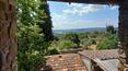 Toscana Immobiliare - Interiormente, la granja conserva techos con vigas de madera y suelos de terracota originales