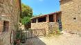 Toscana Immobiliare - Ferme avec deux annexes et terrain dans la province d'Arezzo