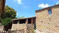 Toscana Immobiliare - Das Anwesen ist von ca. 19 Hektar Land mit Olivenhainen, Wäldern und Ackerland umgeben