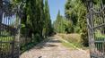Toscana Immobiliare - This prestigious property for sale offers extensive privacy