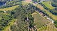 Toscana Immobiliare - Elegante proprietà, situata nella valle del fiume Tevere, immersa nel verde tra Toscana e Umbria