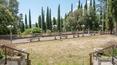 Toscana Immobiliare - Il terreno include una vigna con cantina di vinificazione, un oliveto, un frutteto, una grande orangerie, un pozzo artesiano e un laghetto privato