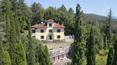 Toscana Immobiliare - Panoramic villa surrounded by greenery for sale in Anghiari Tuscany