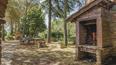 Toscana Immobiliare -