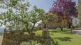 Toscana Immobiliare -