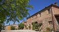 Toscana Immobiliare - Azienda agricola in vendita in Valdichiana