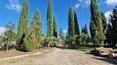 Toscana Immobiliare - Casale con vista panoramica, giardino, parco e annessi in vendita in Toscana
