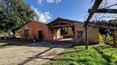 Toscana Immobiliare - Farmhouse with garden and annexes for sale in Asciano, Tuscany