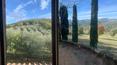 Toscana Immobiliare - Farmhouse for sale in the Tuscan countryside