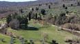 Toscana Immobiliare - Casale da ristrutturare in vendita a Monte San Savino, in Toscana