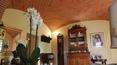 Toscana Immobiliare -