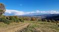 Toscana Immobiliare - Casale ristrutturato con vista panoramica in vendita Città di Castello Umbria