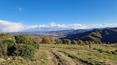 Toscana Immobiliare - Casale ristrutturato con vista panoramica in vendita Città di Castello Umbria