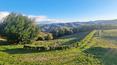 Toscana Immobiliare -