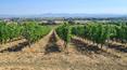 Toscana Immobiliare - Vendesi casa di campagna con terreno in Toscana