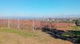 Toscana Immobiliare - The property enjoys splendid panoramic views over the surrounding hills