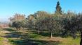Toscana Immobiliare - The house can be converted into an accommodation facility or used as a private residence
