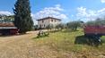 Toscana Immobiliare - Restored farmhouse for sale in Montepulciano, Tuscany