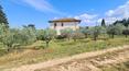 Toscana Immobiliare - La proprietà include due annessi ad uso rimesse per macchine agricole