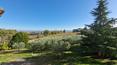 Toscana Immobiliare - Casa di campagna con oliveto e splendida vista panoramica sulle colline circostanti