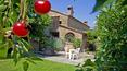 Toscana Immobiliare - Typical Tuscan farmhouse with swimming pool for sale in Cortona Arezzo