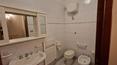 Toscana Immobiliare - Typical farm for sale in Tuscany for sale in the province of Siena