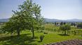 Toscana Immobiliare - Luxury real estate in Tuscany