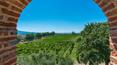 Toscana Immobiliare - Luxury farmhouse with ancient tower, vineyard, olive grove and swimming pool for sale in a panoramic position in Monte San Savino, Arezzo, Tuscany