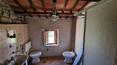 Toscana Immobiliare - Bauernhaus zu renovieren zu verkaufen in Monte San Savino, Toskana
