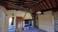 Toscana Immobiliare - Bauernhaus mit Nebengebäude und 1 Hektar Land mit Olivenhain zu verkaufen in der Toskana