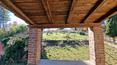 Toscana Immobiliare - Casa de campo con anexo y 1 hectárea de terreno con olivar en venta en Toscana